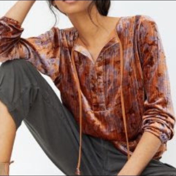 Anthropologie Faustine Velvet Peasant Blouse - Picture 7 of 7